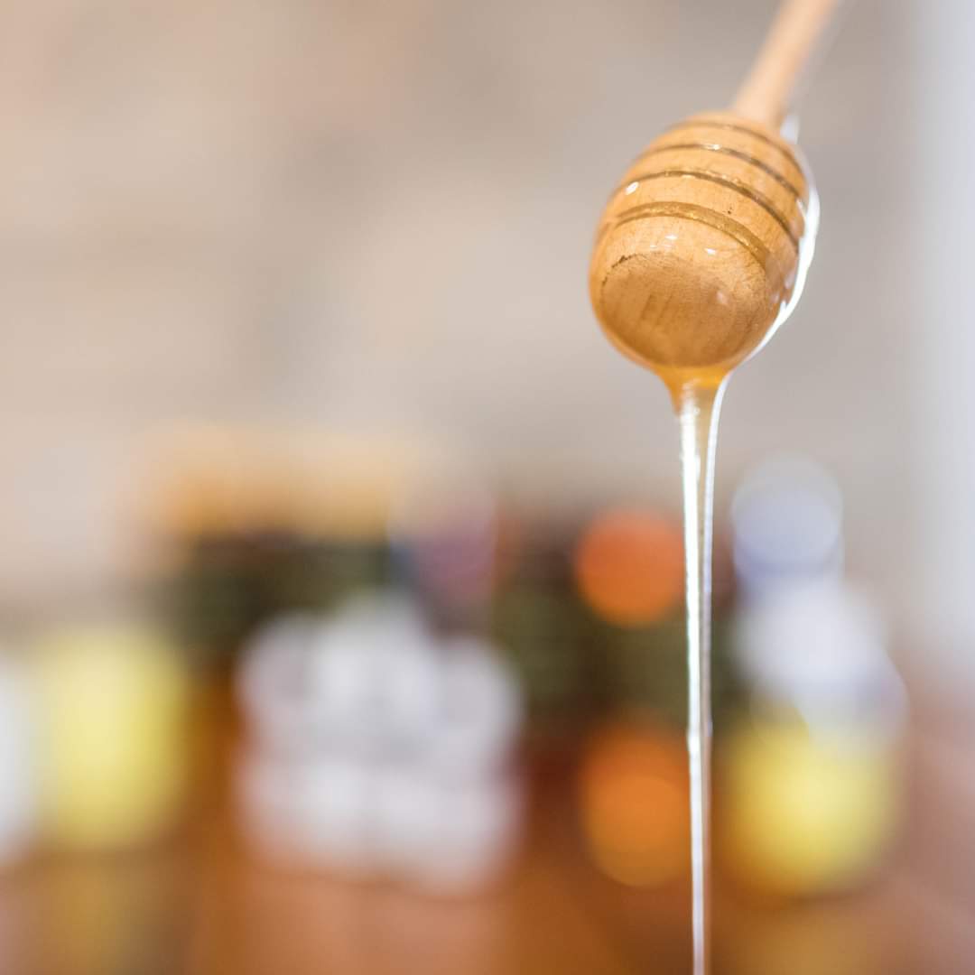 med-cvjetni-istarski