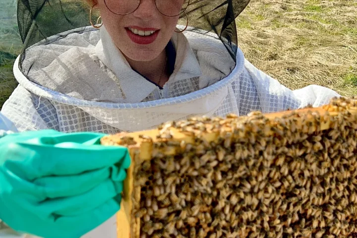 Pčelar i košnice u krajoliku uz temu „Kako pčelar bira položaj pčelinjaka u Istri”
